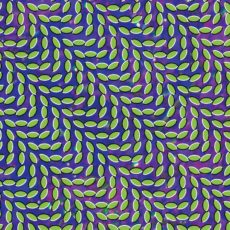 Animal Collective – Merriweather Post Pavilion