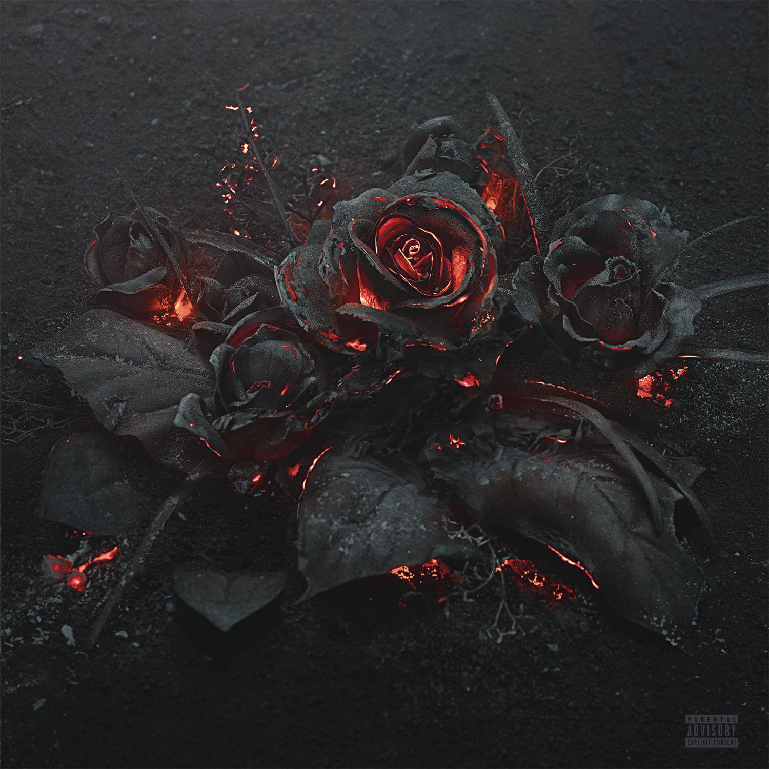 Future – EVOL