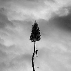 Manchester Orchestra – A Black Mile To The Surface [2 LP]