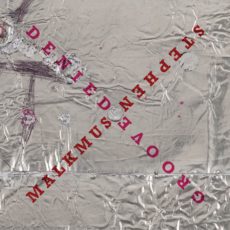 Stephen Malkmus – Groove Denied