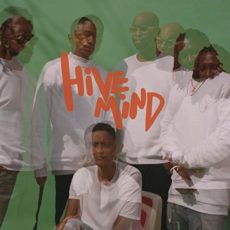 The Internet – Hive Mind (2LP)