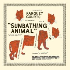 Parquet Courts – Sunbathing Animal