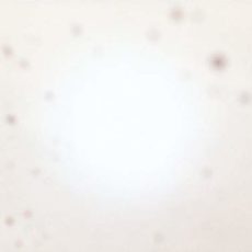 Yo La Tengo – There’s A Riot Going On [2 LP]