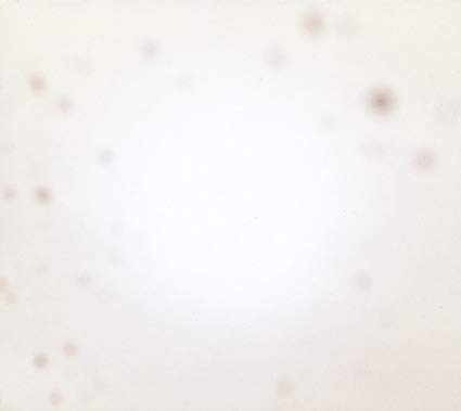 Yo La Tengo – There’s A Riot Going On [2 LP]