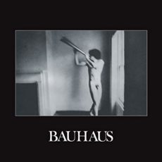 Bauhaus – In The Flat Field (Remastered)
