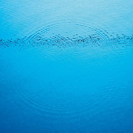 Caribou – Suddenly