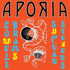 Sufjan Stevens & Lowell Brams – Aporia