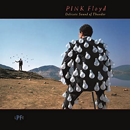 Pink Floyd – Delicate Sound of Thunder (Live) [2 LP]