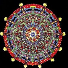 Of Montreal – Hissing Fauna, Are You the Destroyer? (2LP 180-Gram Colored Vinyl)