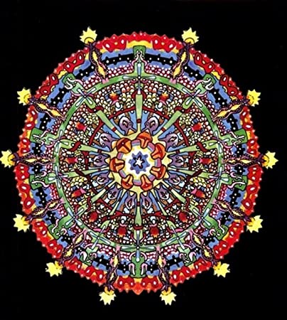 Of Montreal – Hissing Fauna, Are You the Destroyer? (2LP 180-Gram Colored Vinyl)