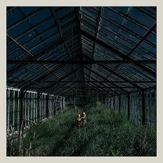 Foxing – Dealer (Dark green vinyl)