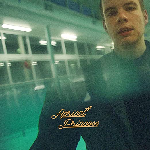 Rex Orange County- Apricot Princess