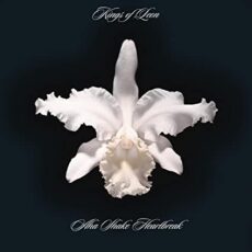 Kings of Leon – Aha Shake Heartbreak