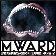M. Ward – What a Wonderful Industry