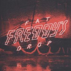 Fat Freddy’s Drop – Bays
