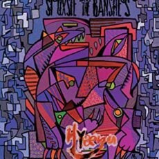 Siouxsie & The Banshees – Hy‘na