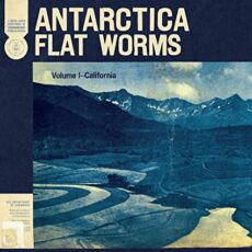 Flat Worms – Antarctica