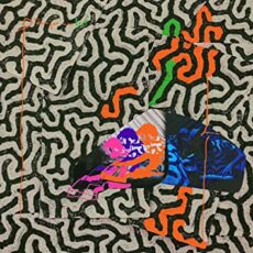 Animal Collective – Tangerine Reef
