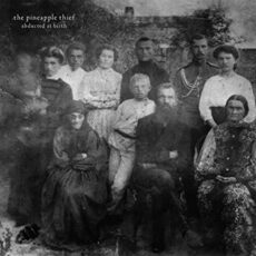 Pineapple Thief – Abducted At Birth