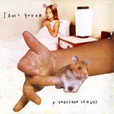 Sonic Youth – A Thousand Leaves [2 LP]