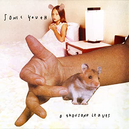 Sonic Youth – A Thousand Leaves [2 LP]