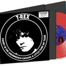 T. Rex ‎– Dandy In The Underworld