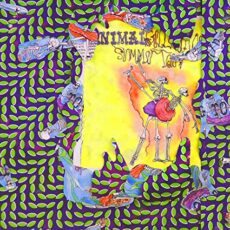 Animal Collective – Ballet Slippers