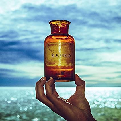 Blackfield – V