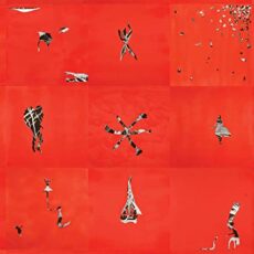 Animal Collective – Hollinndagain