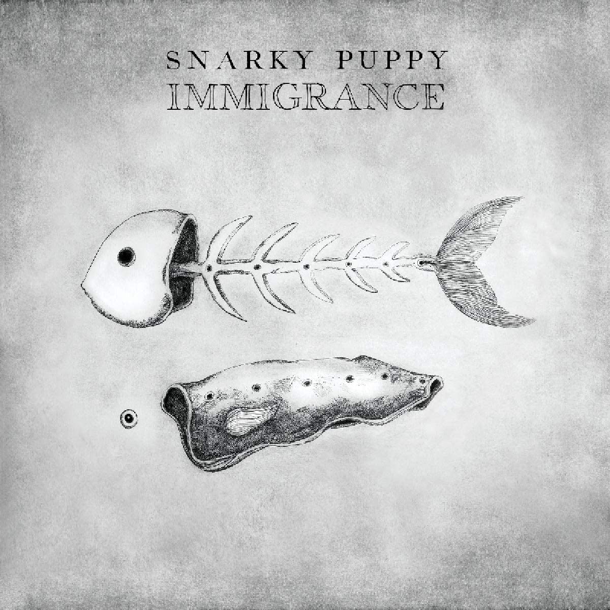 Snarky Puppy – Immigrance
