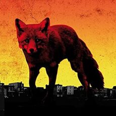 The Prodigy ‎– The Day Is My Enemy [2 LP]