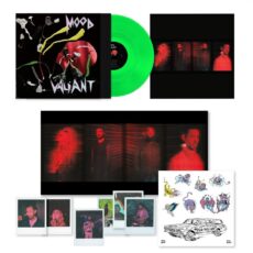 Hiatus Kaiyote – Mood Valiant (Deluxe Glow In The Dark Vinyl Edition)
