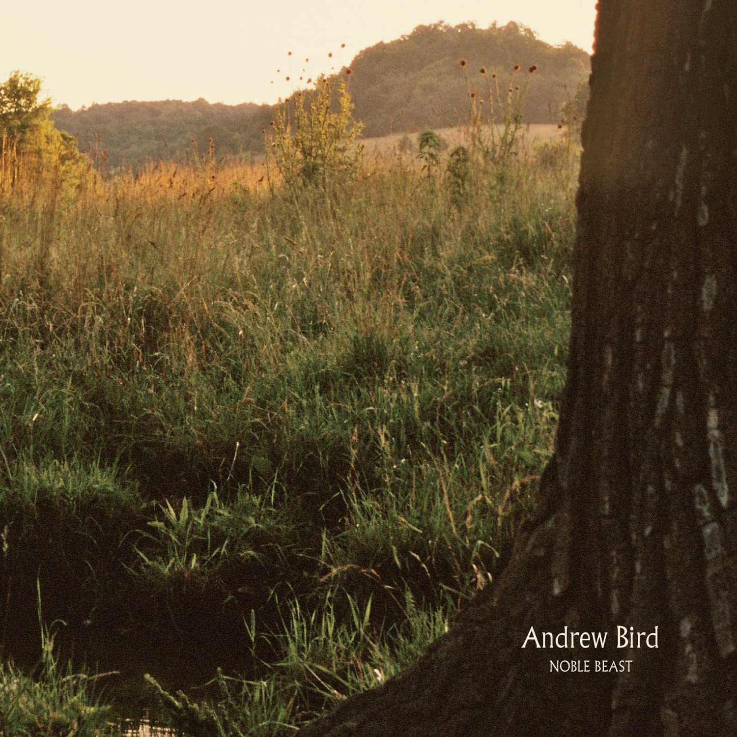 Andrew Bird – Noble Beast