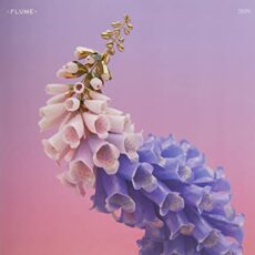 Flume – Skin [2 LP] (Peppermint Green Vinyl)