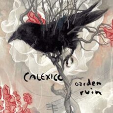 Calexico – Garden Ruin