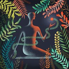 Loma – Don’t Shy Away (Color Vinyl)