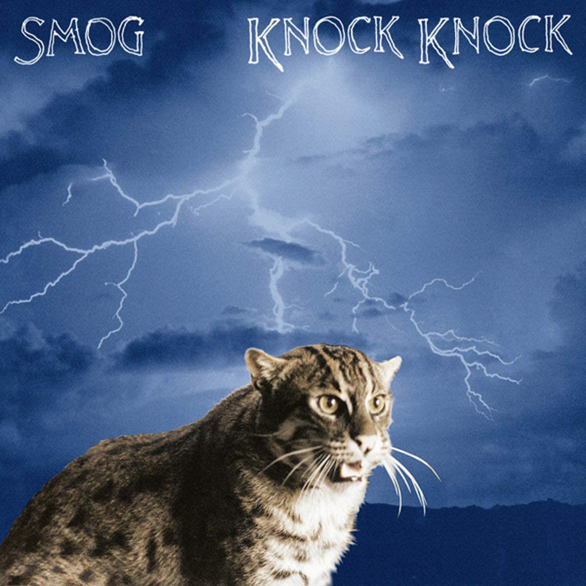 Smog – Knock Knock (Remastered)
