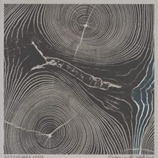 Needtobreathe – Rivers In The Wasteland