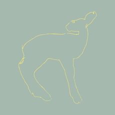 Songs: Ohia – Hecla and Griper [15th Anniversary Edition]