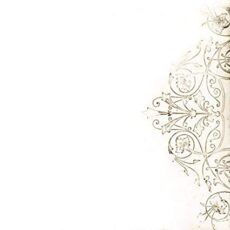 Damien Jurado – And Now That I’m in Your Shadow