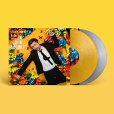 The Divine Comedy – Charmed Life – The Best Of The Divine Comedy [2 LP] (Limited Edition Gold & Silver Vinyl)