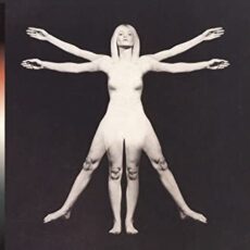 Angels and Airwaves – Lifeforms