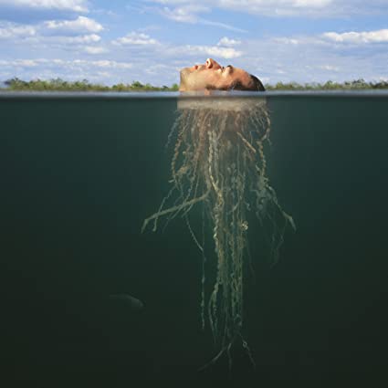 The Mars Volta – De-Loused In The Comatorium [2 LP] (Gold and Dark Green Vinyl)