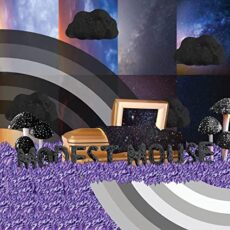 Modest Mouse – The Golden Casket (Amazon Exclusive Edition)