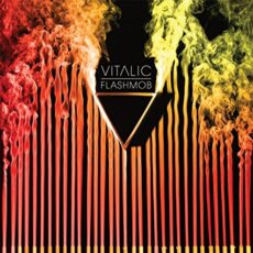 Vitalic – Flashmob