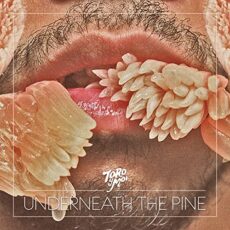 Toro y Moi – Underneath The Pine