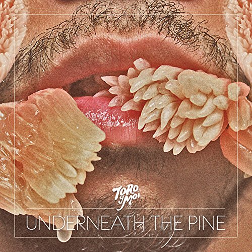 Toro y Moi – Underneath The Pine