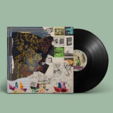 Animal Collective – Time Skiffs [2 LP]