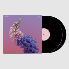 Flume – Skin [2 LP]
