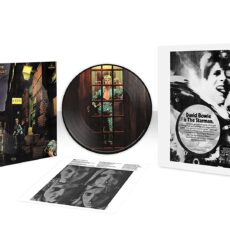 David Bowie – The Rise and Fall of Ziggy Stardust and the Spiders from Mars (50th Anniversary Half Speed Master Picture Disc)